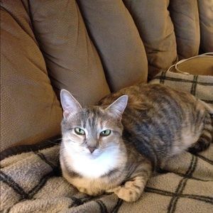 Meet your Posher, Robin